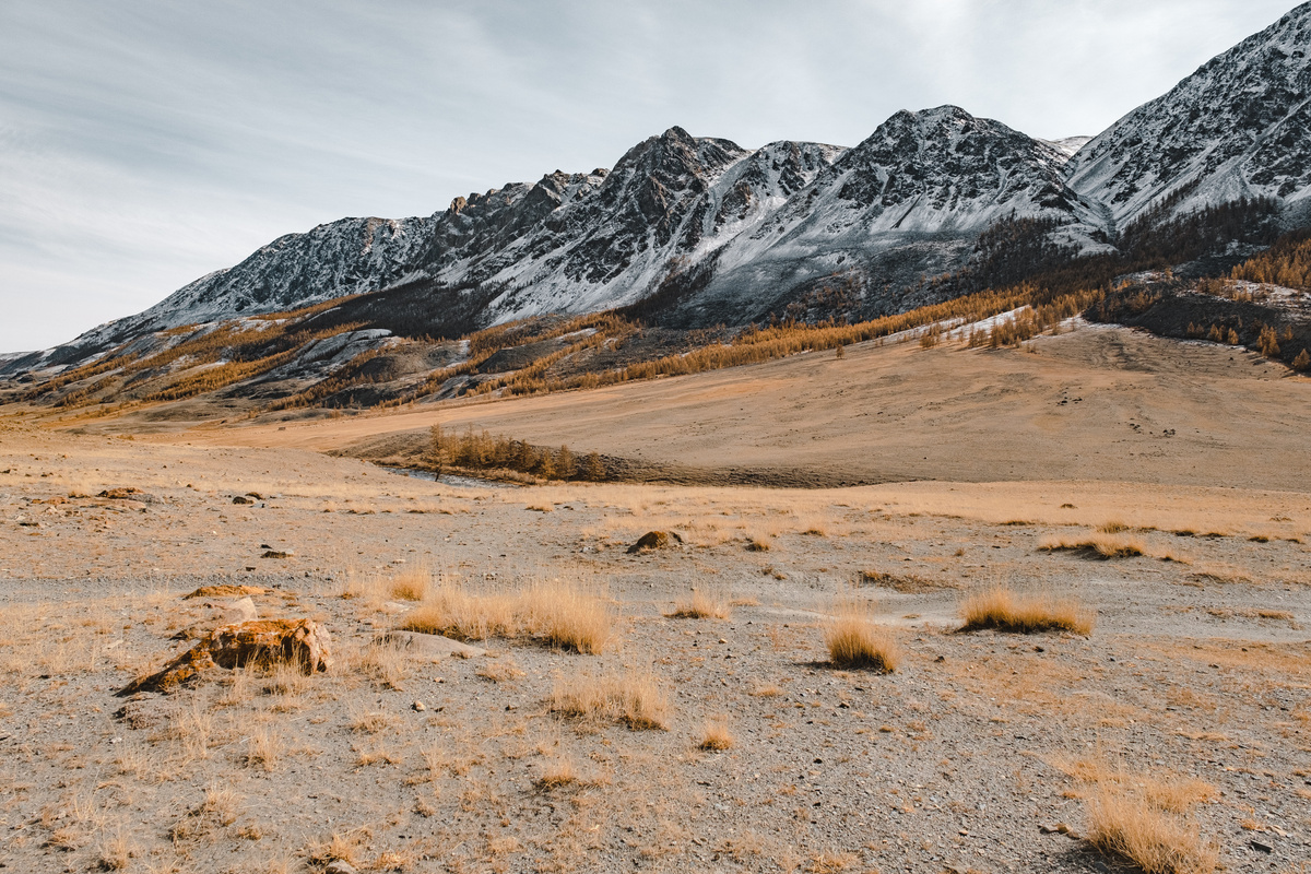 White and Black Mountain Alps